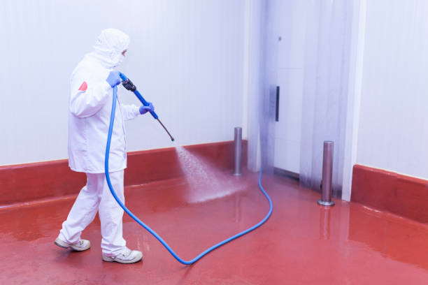 Best Spring Cleaning  in Wellston, MO