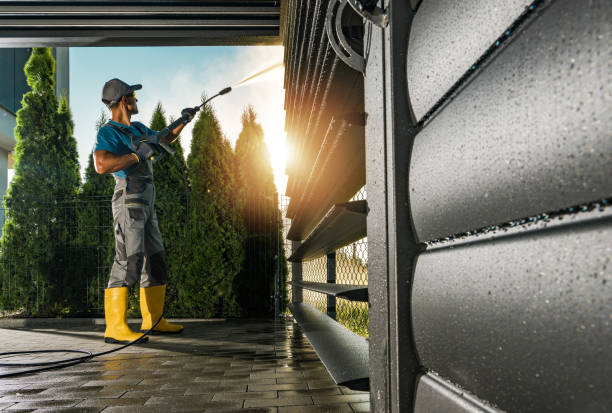 Best Roof Washing  in Wellston, MO